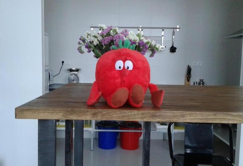 هاستل Check In León