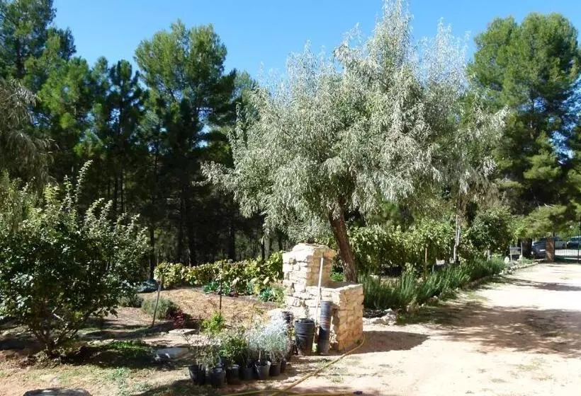 ユースホステル Cortijo Covaroca