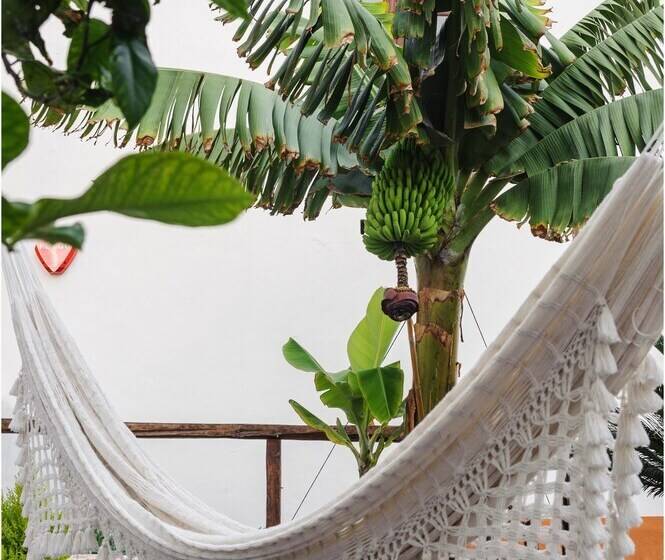 צימר Casa Emblemática Buenavista Del Norte