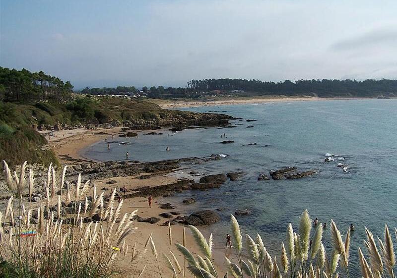 تختخواب و صبحانه La Curva Surfhouse   Hostel