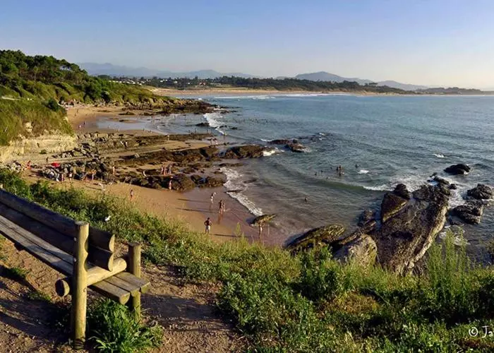 تختخواب و صبحانه La Curva Surfhouse   Hostel