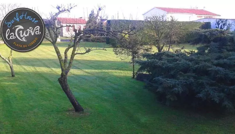 تختخواب و صبحانه La Curva Surfhouse   Hostel