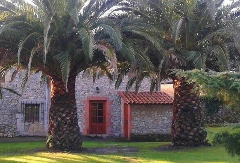 تختخواب و صبحانه La Curva Surfhouse   Hostel