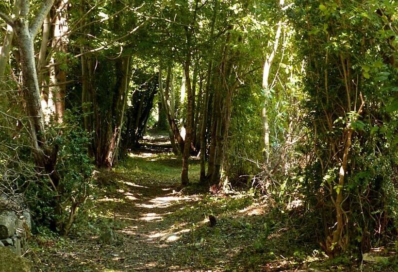 בית מלון כפרי Casa Escolano