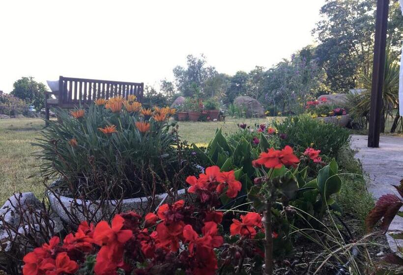 ホテル El Sosiego