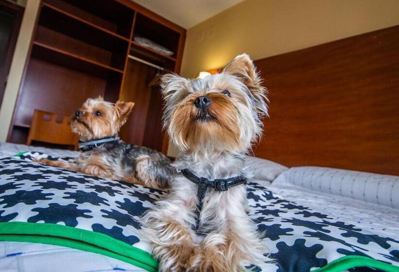 فندق Pension Viella Asturias