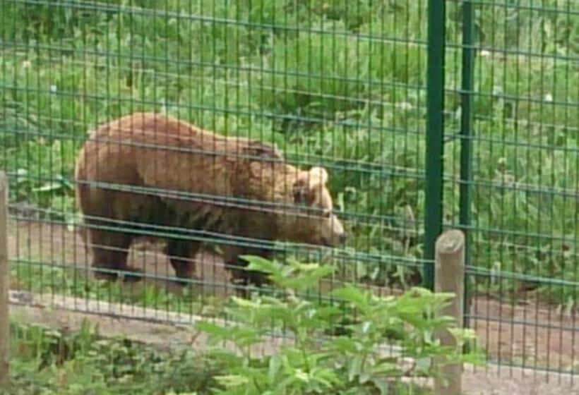 호텔 La Casona De Don Santos