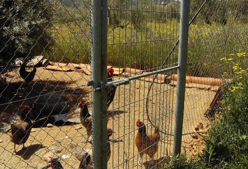 בית מלון כפרי Rural La Cimbarra