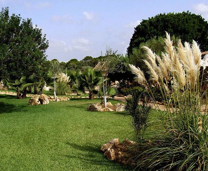 هتل Ses Rotes Velles Petit