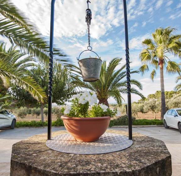 هتل Ses Rotes Velles Petit