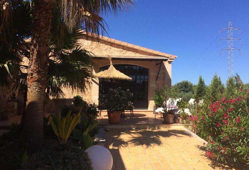 ホテル Villa Sampoli   Agroturismo Son Sampoli   Adults Only