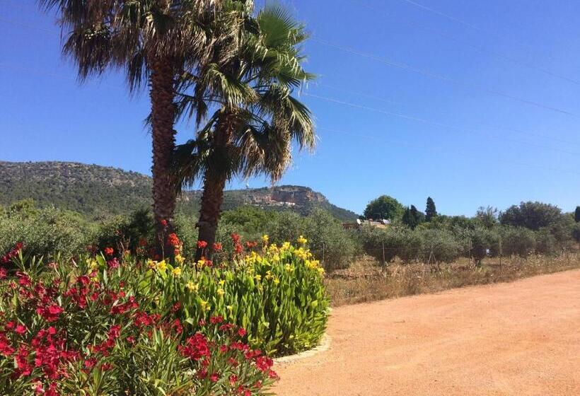 ホテル Villa Sampoli   Agroturismo Son Sampoli   Adults Only