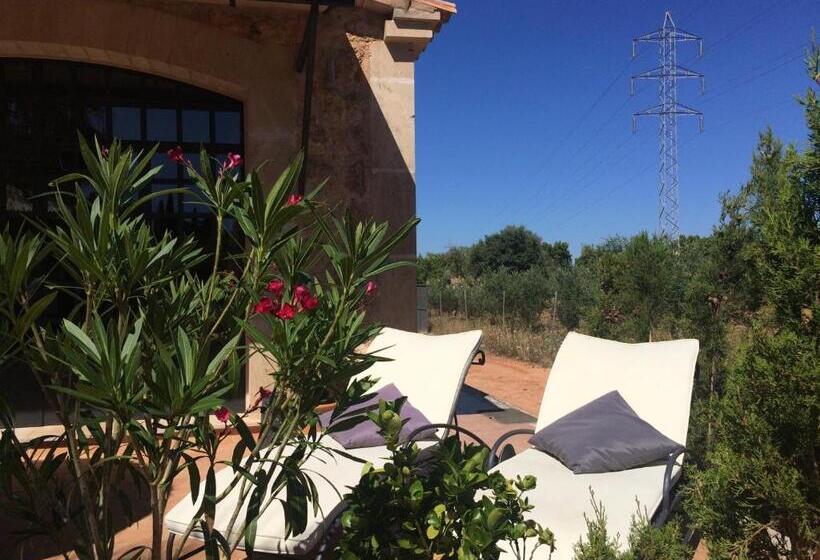 ホテル Villa Sampoli   Agroturismo Son Sampoli   Adults Only