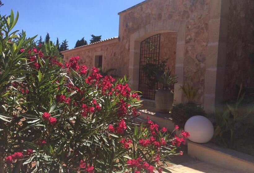 ホテル Villa Sampoli   Agroturismo Son Sampoli   Adults Only