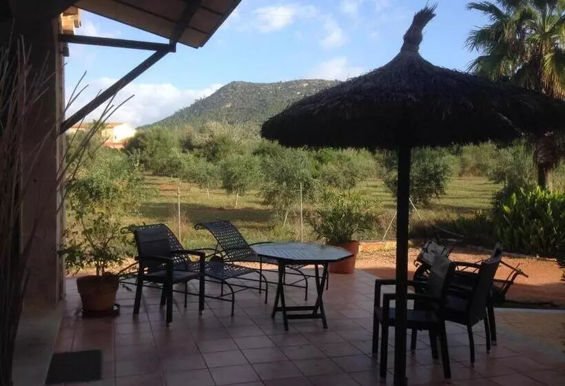 هتل Villa Sampoli   Agroturismo Son Sampoli   Adults Only
