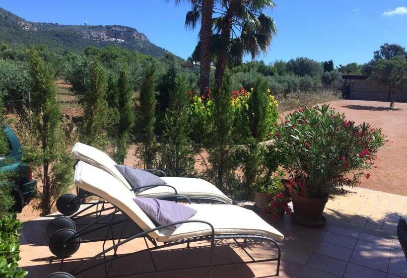 ホテル Villa Sampoli   Agroturismo Son Sampoli   Adults Only