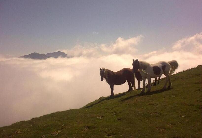 Larraenea Bed And Breakfast