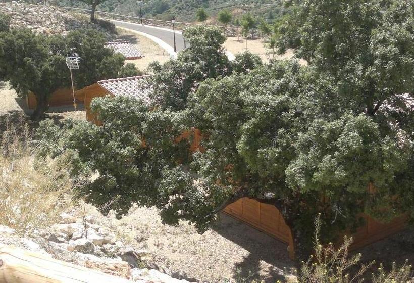 レジデンス Complejo Pueblo Blanco