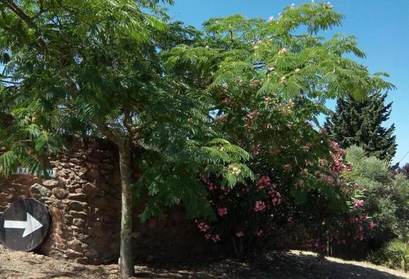 レジデンス La Caldera Vieja
