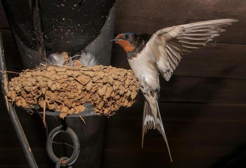 إقامة La Caldera Vieja