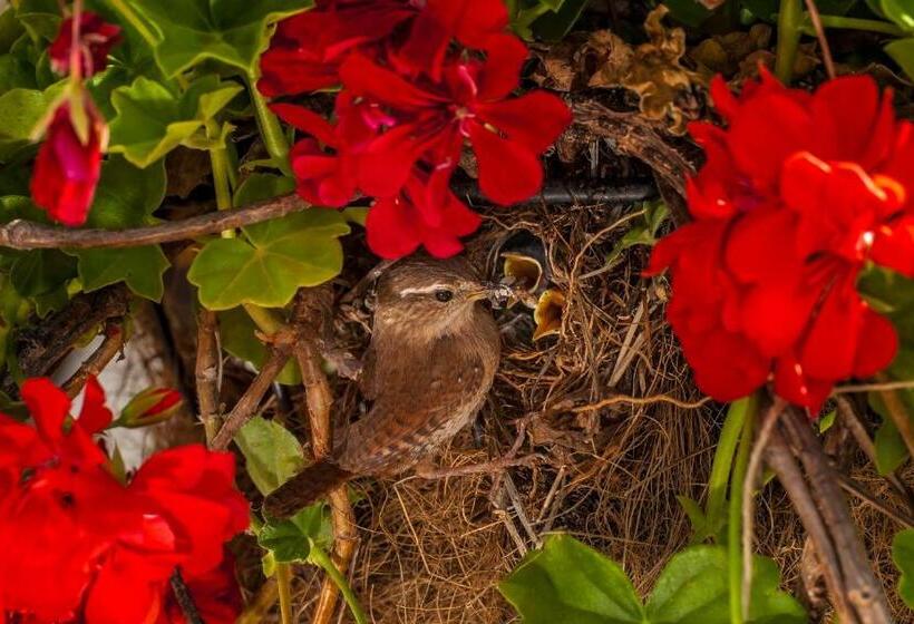 إقامة La Caldera Vieja