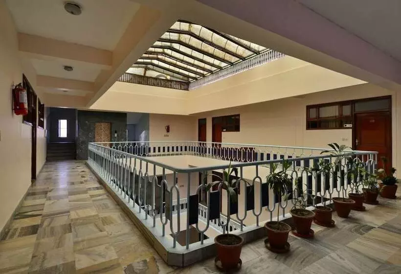 Hotel Dolphin