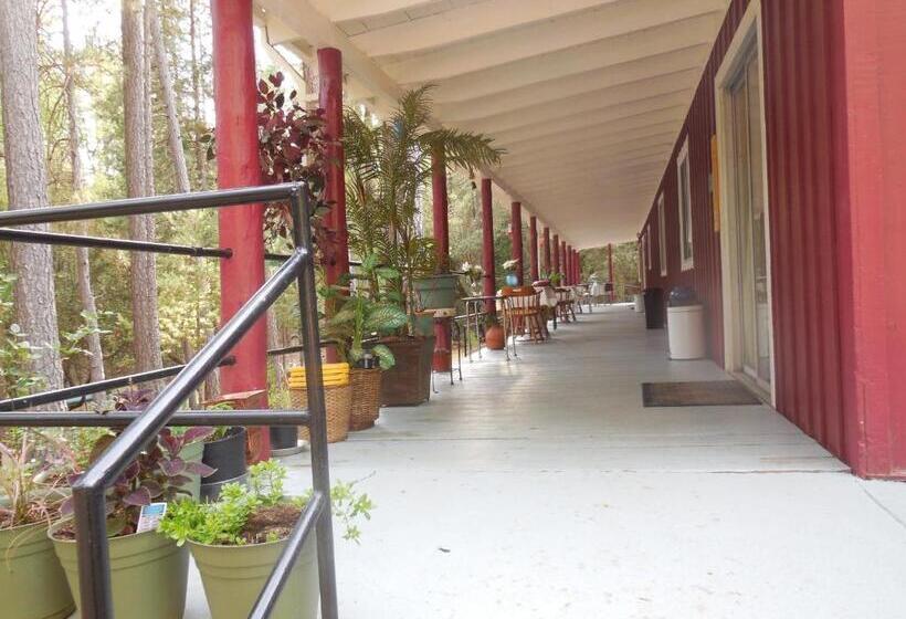 住宿加早餐  Yosemite Paradise Inn