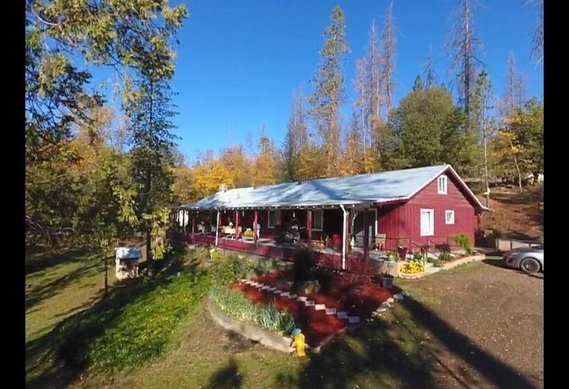 住宿加早餐  Yosemite Paradise Inn