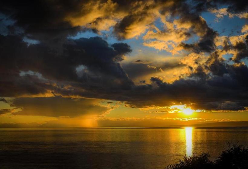 Frenchy S Adventure Bed And Breakfast