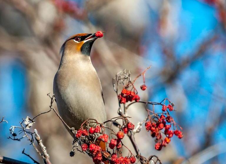 Frenchy S Adventure Bed And Breakfast