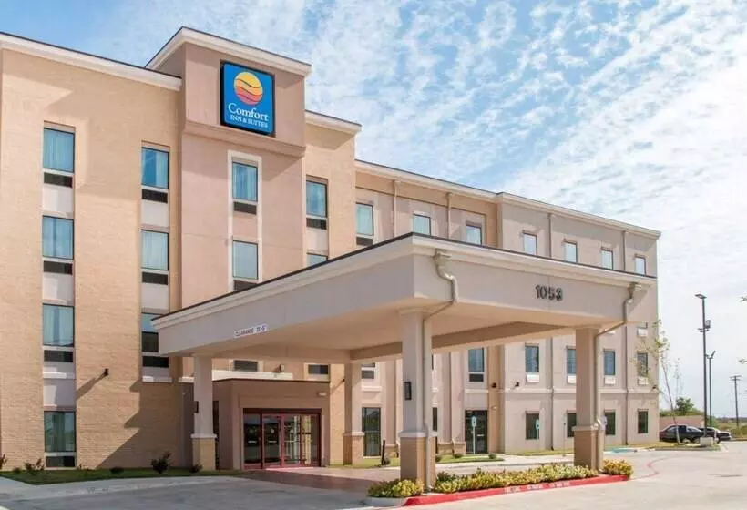 ホテル Comfort Inn & Suites San Marcos