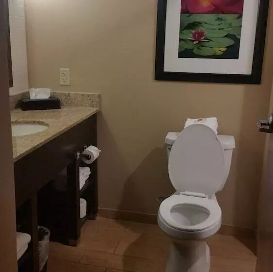 ホテル Comfort Inn & Suites San Marcos