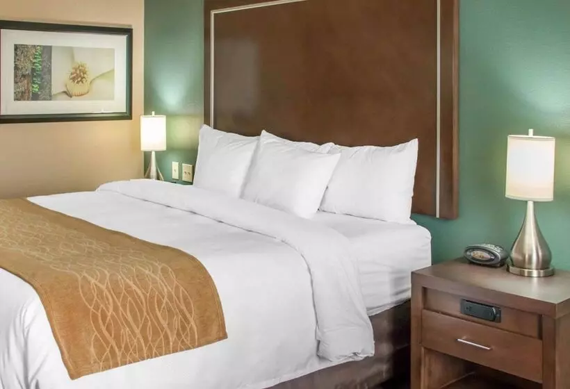 ホテル Comfort Inn & Suites San Marcos