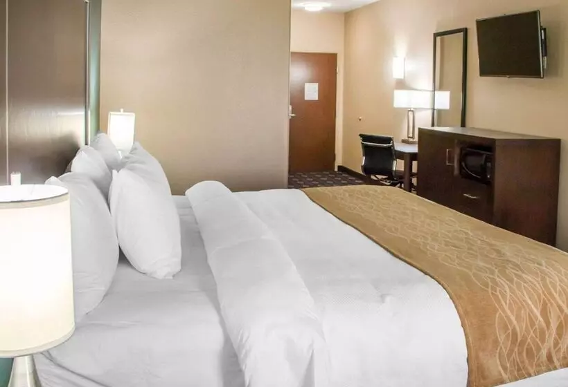 ホテル Comfort Inn & Suites San Marcos
