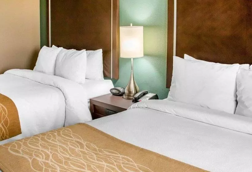 ホテル Comfort Inn & Suites San Marcos