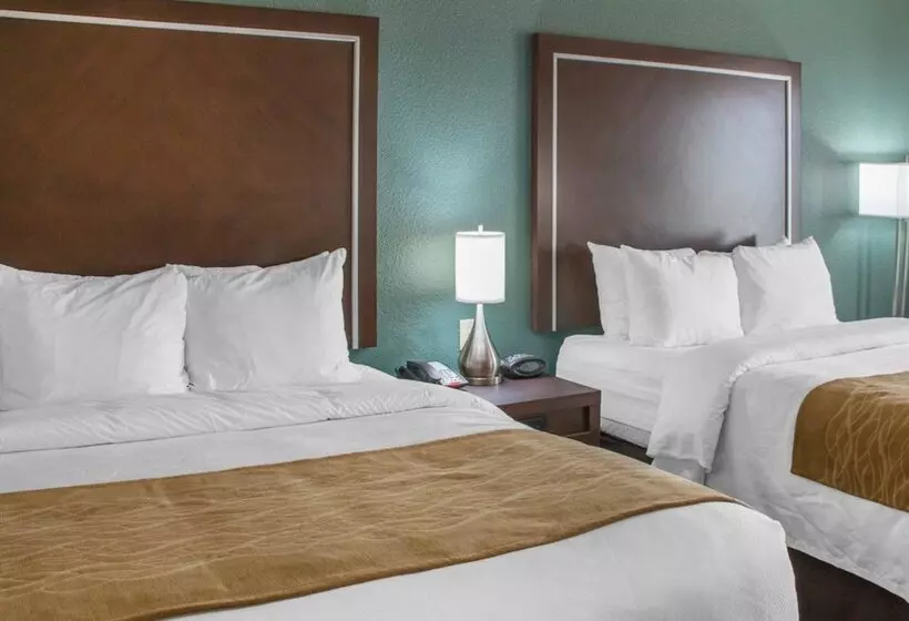 ホテル Comfort Inn & Suites San Marcos