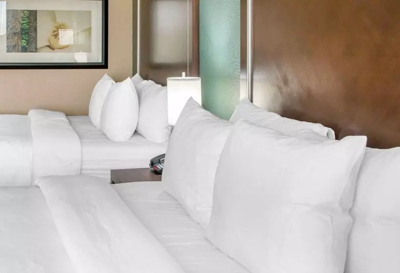 ホテル Comfort Inn & Suites San Marcos
