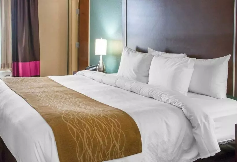 ホテル Comfort Inn & Suites San Marcos