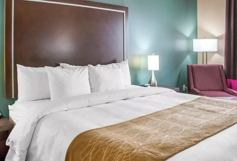 ホテル Comfort Inn & Suites San Marcos