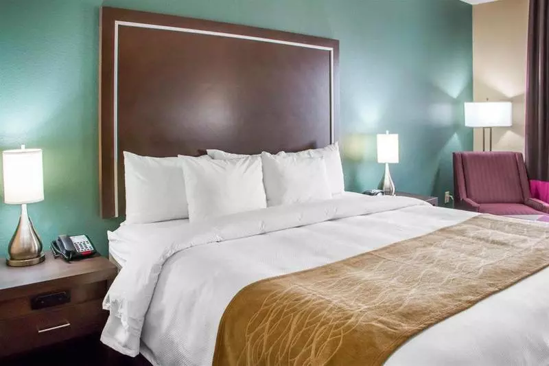 ホテル Comfort Inn & Suites San Marcos