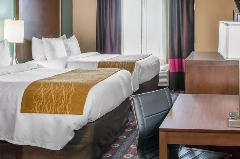 ホテル Comfort Inn & Suites San Marcos