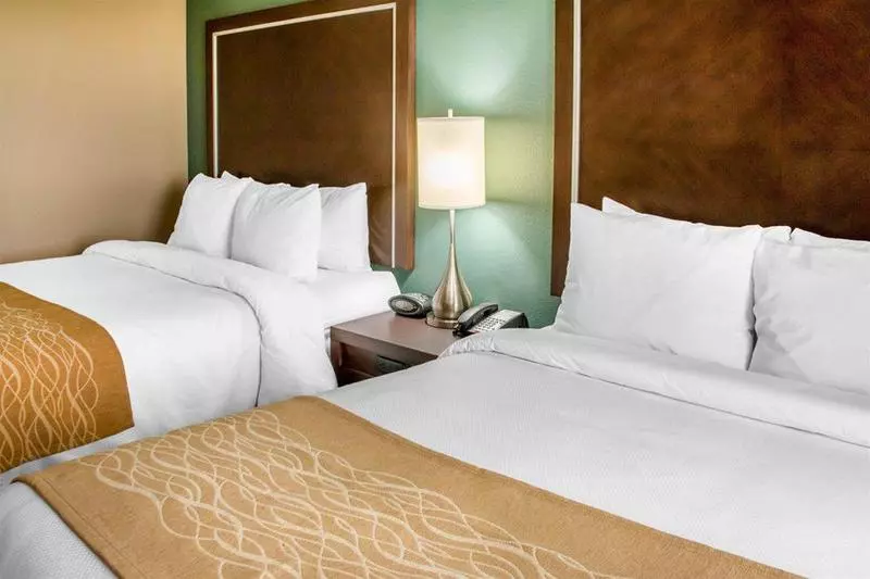 ホテル Comfort Inn & Suites San Marcos