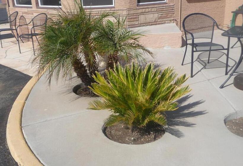 Motel Palms Inn