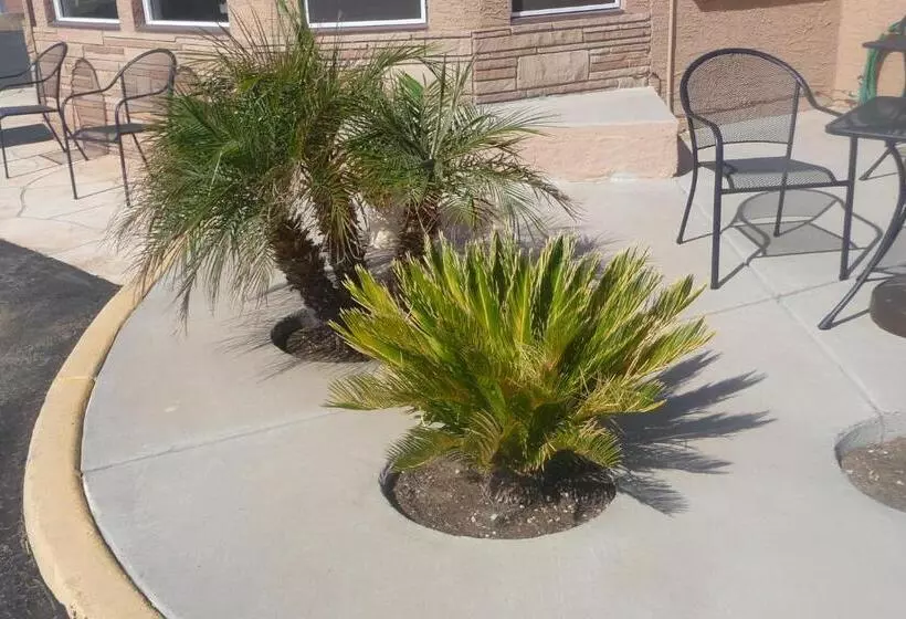 モーテル Palms Inn