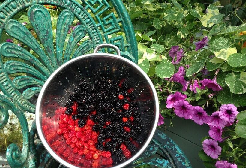 Shorecrest Bed And Breakfast