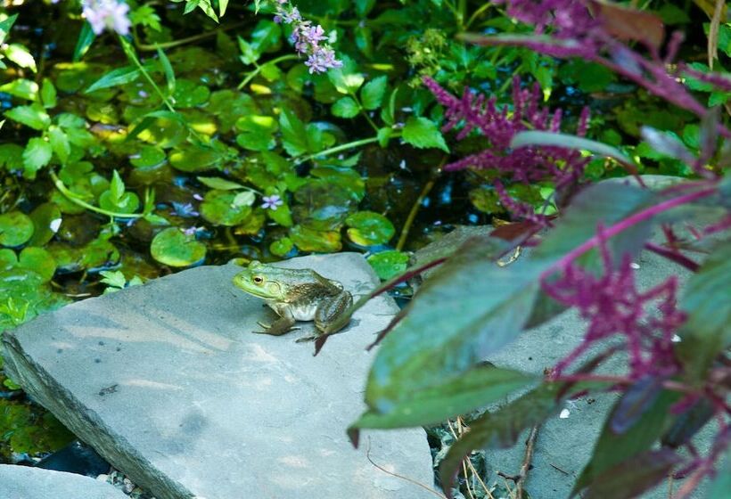 Shorecrest Bed And Breakfast