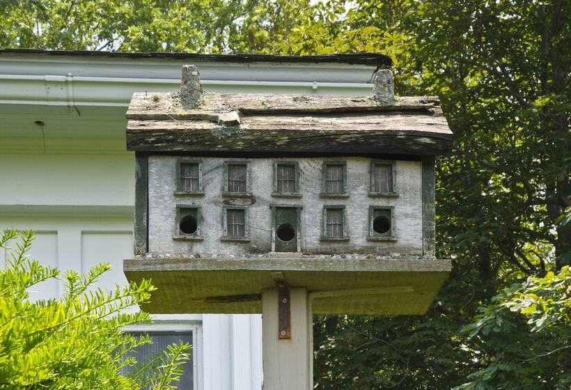 Shorecrest Bed And Breakfast