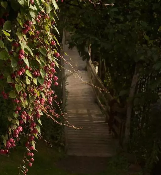 Brigitte S Bavarian B&b