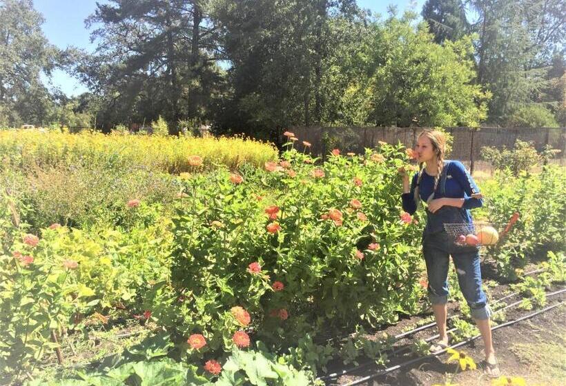 住宿加早餐  Napa Farmhouse Inn