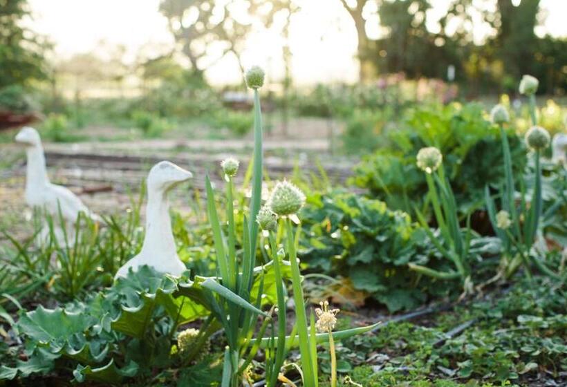 住宿加早餐  Napa Farmhouse Inn